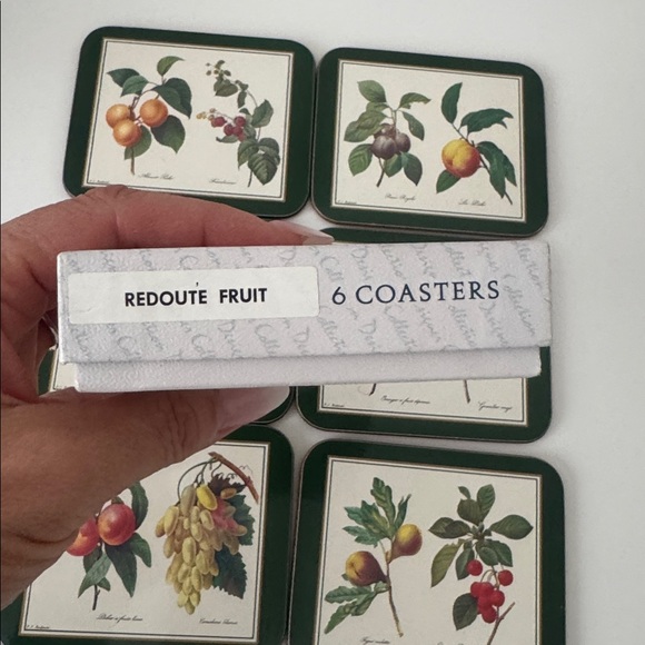Like New Jason Fruit Illustration Coasters set of 6 - Picture 2 of 4